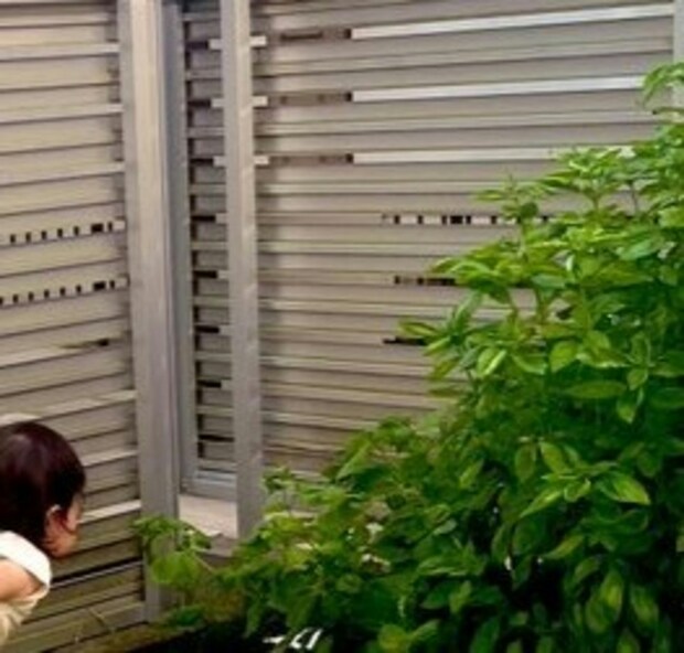 わが子の朝の習慣「畑チェック」→愛おしすぎる後ろ姿に29万いいね「体勢がたまらん」「キャワイイ」