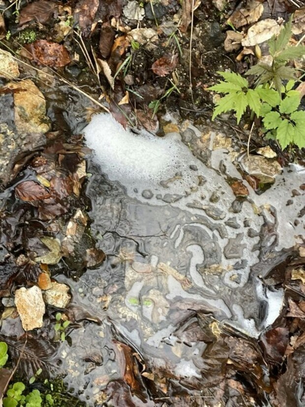 「ずっと誤解してた…」沢水の白い泡は洗剤汚染じゃない→正体を知って6.3万いいね「勉強になる！」