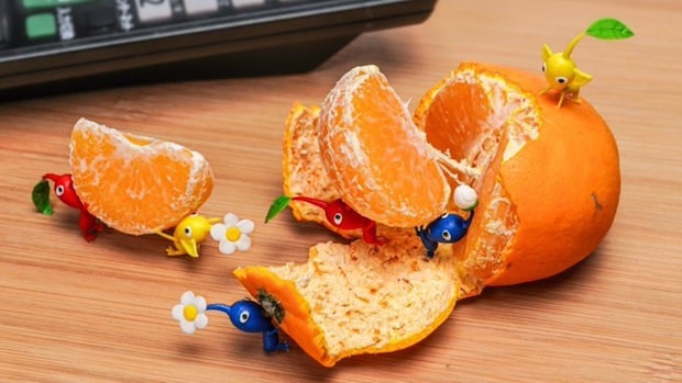 本物にしか見えない…！【まさかの素材】でできた“ミカン”に8千いいね「横転」「かわいすぎ」