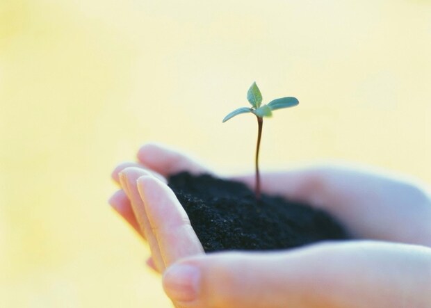 4歳児が口にした“自分へのエアレター”→内容に3千いいね「健全な家庭」「4歳さんすごい」