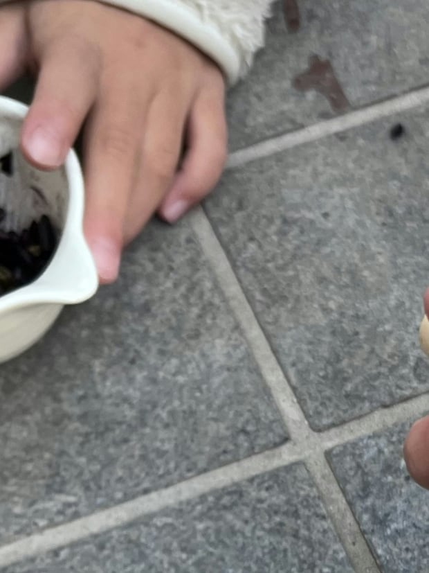 【これは天才】公園タイムに親の体力温存→子どもが夢中で遊ぶライフハックに3万いいね「めっちゃいい」