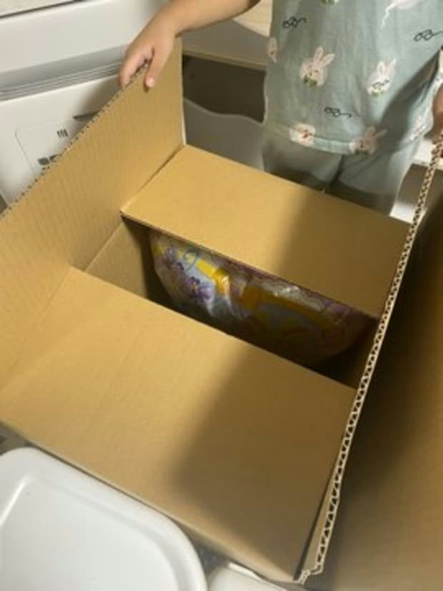 引っ越し荷物の中に【贅沢な梱包】→娘の宝物に7万人がほっこり「割れたら大変」