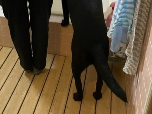 【ほっこり】思わず二度見→ママと愛犬の“シンクロ”に4.6万いいね「飼い主に似る」「かわいすぎ」