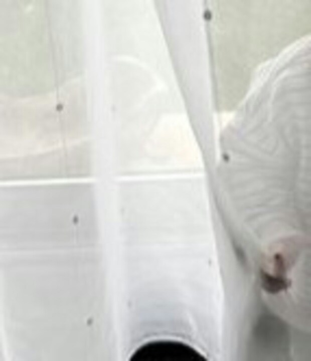 1歳児による【全力かくれんぼ】→尊い隠れ方に2.6万いいね「絶対見つけられない」「かわいい」