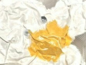 送料を安く済ませたら→薄ーくなったおもちゃに2万いいね「正しい姿が気になるｗ」「開封後も見せて」