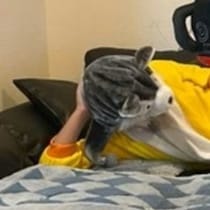 外出中のママが「子達は？」LINEで確認→パパから届いた光景に3万いいね「最高」「楽しそう」