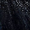 ビニール傘についた雨粒は“アート作品”→まさかの正体に2千いいね「どうなってるの？」「すごい感動」