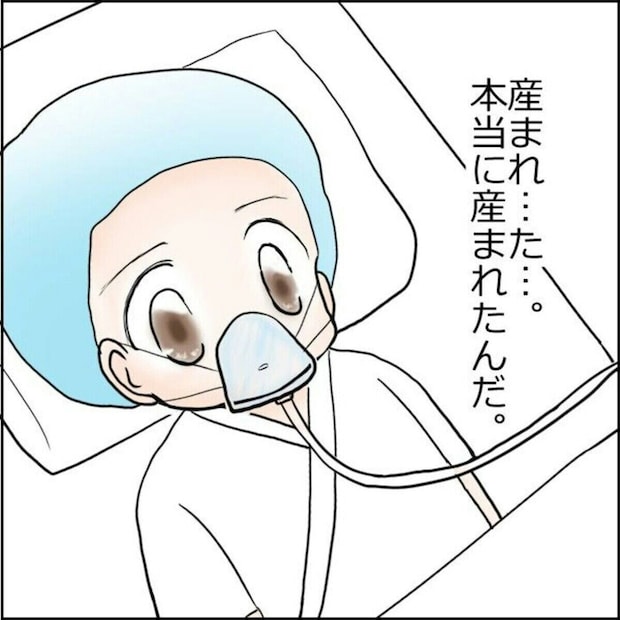 早産のわが子を出産するまでの妊娠生活を丁寧に描いた漫画エッセー