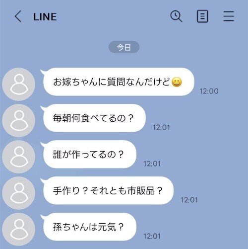 「うわあ…」メッセージで【質問攻め】→義母の“ハテナ連発”にイライラ「うちも」「私も将来…」