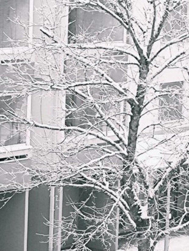 「ありそうでなかった」夫が撮った【親子写真】に1.8万いいね「勇ましさが天晴れ」「温かな眼差し」