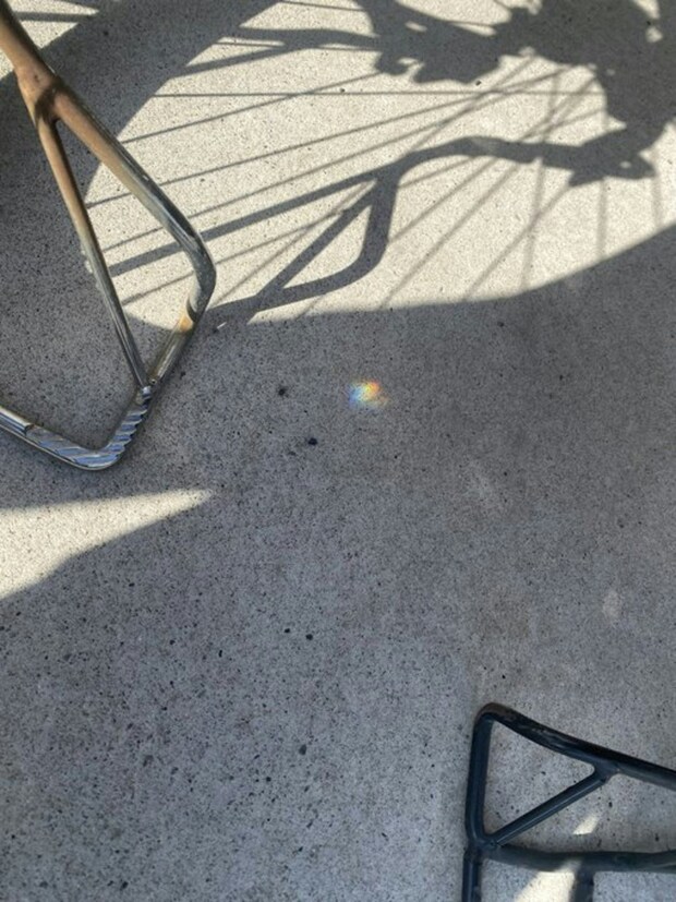 3歳児「にじのあかちゃんが…」地面を見た発見と表現に9.8万いいね「かわいい」「幸せのカケラ」