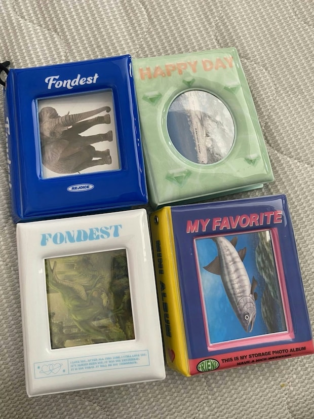 「300円でできる」生後8か月が笑顔【ダイソー】商品で作るミニ図鑑に1600いいね「絶対喜ぶ」