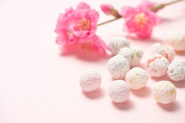 「ボンボリーニってだれ？」4歳娘の聞き間違い→春の激カワエピに3万いいね「笑った」「天才ですわ」