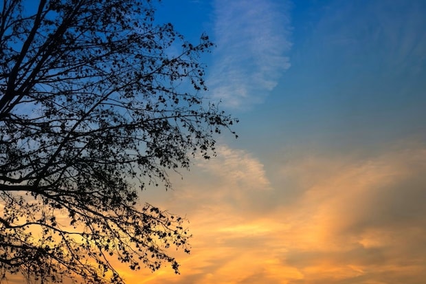 夕暮れ時「ﾄﾝﾄﾝﾄﾝ」と口ずさむ男性→ヘッドライドに照らされた“正体”に「ほっこり」「世の平和」