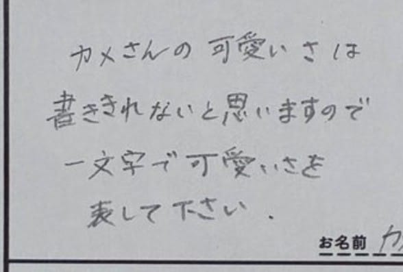 「カメのかわいさを1文字で表して」質問箱への【神回答】に6万いいね「かっこよすぎ」「天才すぎて草」
