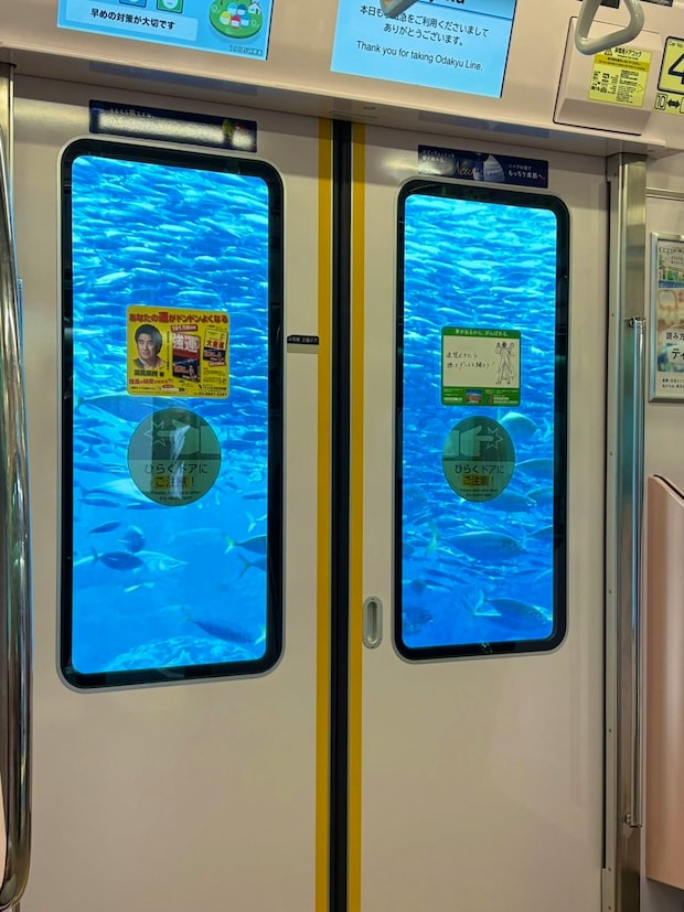 まるで海の中！→小田急線の駅構内で見える景色に6万いいね「すごすぎる…」「海底トンネルのよう」