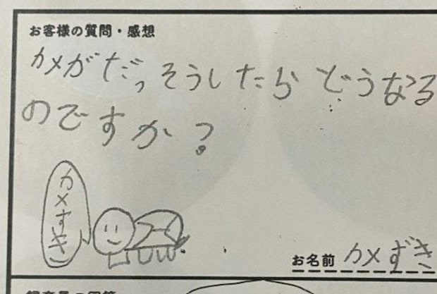 脱走したカメ、どこへいく？ウミガメ保護施設の回答に８.７万いいね