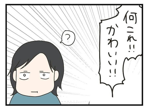 「何がかわいいの？」兄が夢中になって見つめる“宝物”の正体