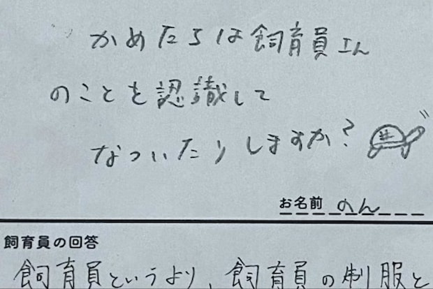 ウミガメに【裏切られた気分】飼育員の正直話に34万いいね「昼ドラ感」「最後の文で吹き出した」