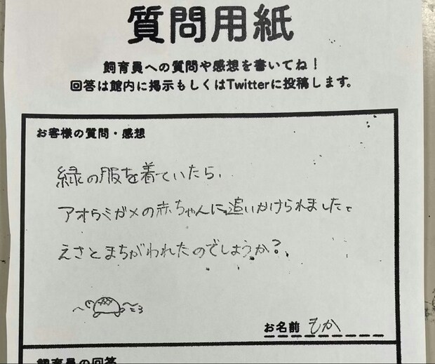 【ウミガメ飼育員×質問箱】ウミガメに追いかけられた来館者→理由に25万いいね「ドンマイ」