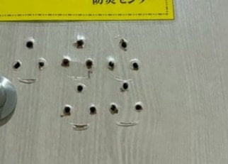 トイレのドアが【穴だらけ】理由に妙案集まり4万いいね「フックにしたら？」「補強して」