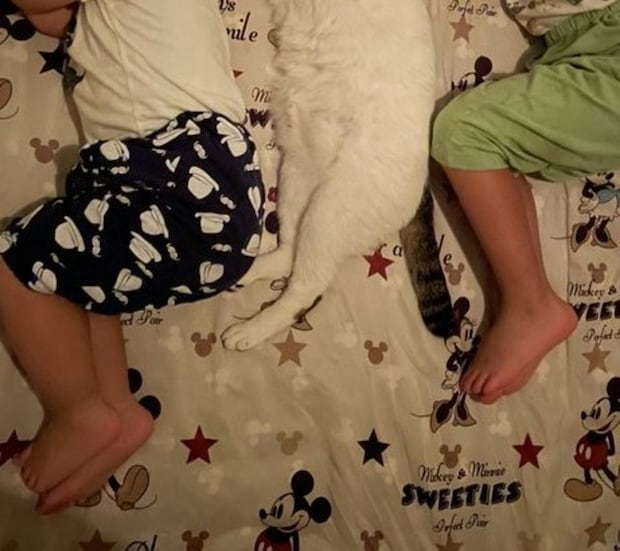 なんて尊い…子どもとにゃんこの「川の字」に3.8万いいね「ご利益ありそう」「かわいすぎ」