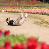【イヤイヤ期inチューリップ畑】美しすぎる背景とイヤイヤポーズのコラボに5万いいね「良い思い出」