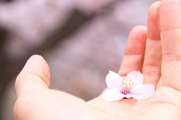 【感動】生後10か月から通った保育園→卒園式の日の“泣けた瞬間”に3千いいね「読んでて泣いちゃった」