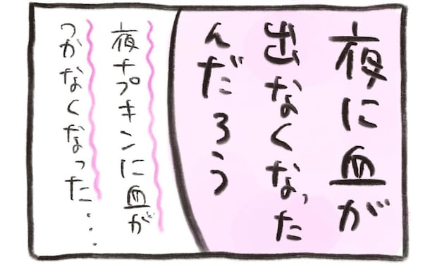 腸が良い感じ!体調を整えたら「生理」に変化が!夜に経血が出なくなったのはなぜ?|不妊大国ニッポン