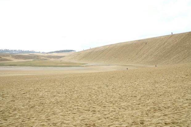 「ワーーー!」鳥取砂丘を見た甥っ子が絶叫→“続く一言”に9.8万いいね「間違ってないかも」