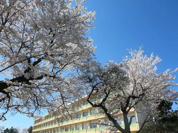 小学校　入学