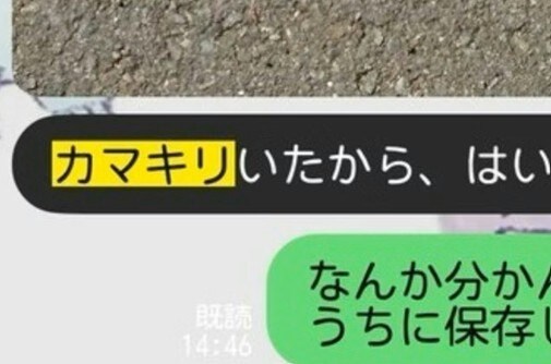虫好き男子なのかと思ったら→友達時代の夫が【カマキリ】送ってきた理由にほっこり♡