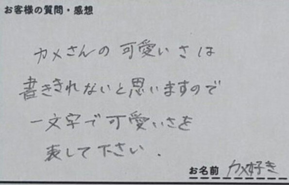 【センスの塊】カメのかわいさを1文字で表して→かっこよすぎる「1文字チョイス」に6万いいね「草ｗ」