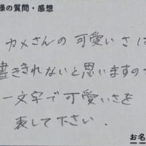 【センスの塊】カメのかわいさを1文字で表して→かっこよすぎる「1文字チョイス」に6万いいね「草ｗ」