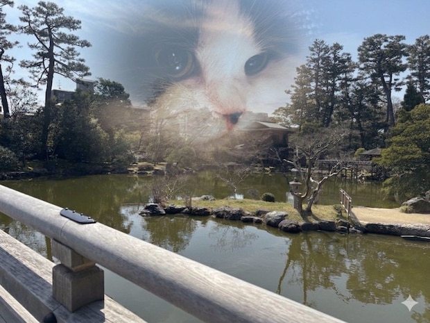 「旅先でも常にこれ、早く帰ろう」愛猫家の投稿に23万いいね「わかりすぎる」「早く会いたくなっちゃう」