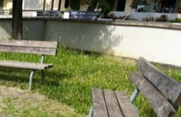公園のベンチ前に【落書き】→思わず「消えないで」と思った芸術に1万いいね「色のバランスがいい」