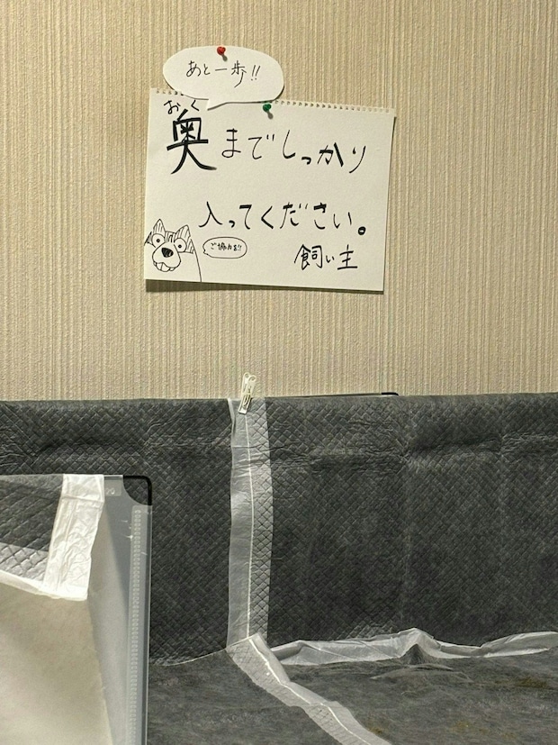 まさか文字が読めてる？ダメもとで犬に向けて張り紙をしたら→まさかの姿に4万いいね