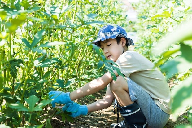 朝から姿を消した長男、庭で「あるもの」と内緒話中？→1.4万いいね「かわいすぎる」「最高の食育」