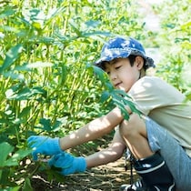 朝から姿を消した長男、庭で「あるもの」と内緒話中？→1.4万いいね「かわいすぎる」「最高の食育」