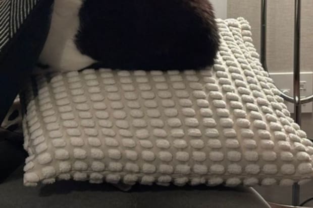 飼い主「びっくりした」→愛猫のクッション使いがうますぎて14万いいね