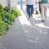 町会の清掃を欠席したら→陰湿な嫌がらせが始まった…町内を牛耳る【会長妻】の恐怖