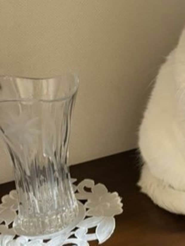 置物だと思われた猫がこちらです→存在感が完璧すぎる姿に15万いいね「上品な佇まいで」「まさに置き物」