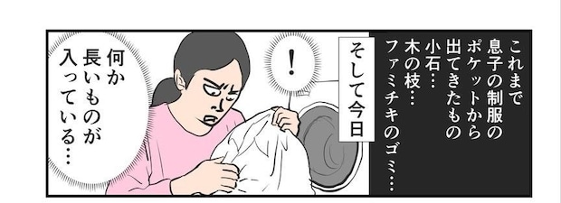 制服ポケットから出てきたモノ…まさかの正体に8,800いいね「木質のものが多い」「きちんと持ち帰った証拠」