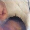 【誤認識】iPhoneが自動で写真を「赤ちゃん」に分類…そこに紛れ込んでいた“まさかの写真”に6千いいね「笑いました」「事件」