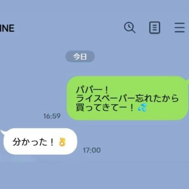 娘「ライスペーパー買ってきて！」夫「わかった！」→買ってきたものがちょっと違うｗ