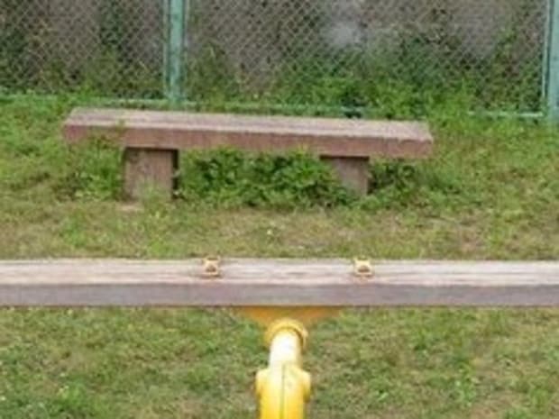 【左右ぴったり】柴犬2匹で完成した癒やしの水平線に2.2万いいね「ちゅ〜る食べた瞬間に…」「ふたりともお利口さん」