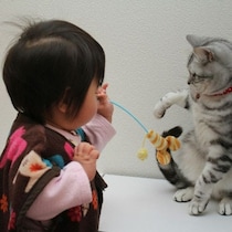 息子の夜泣き、何もない空間を指差し「にゃんにゃん」→去年旅立った愛猫の写真を見せたら…4.4万いいね