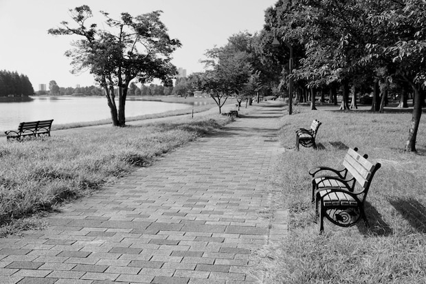 公園　ベンチ
