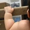 今しか見られない…BCG前の“むちむち最盛期”に8000いいね「おいしそう」「たまらん」