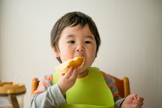 1歳